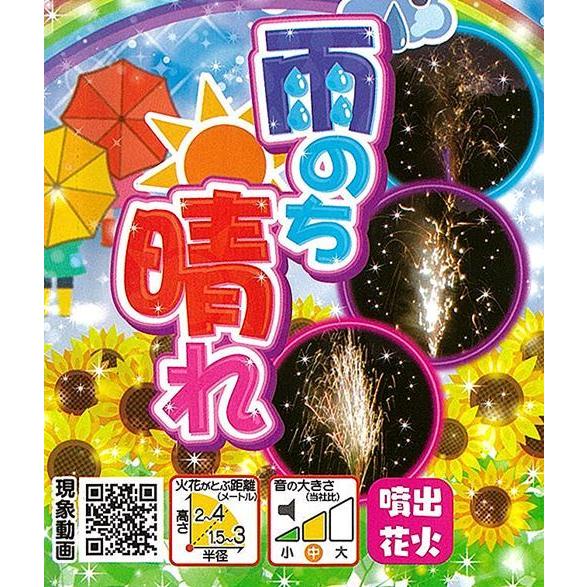 最大81 オフ 花火問屋 立岩商店優しい名前に騙されるな 雨のち晴れ Redoriente Net