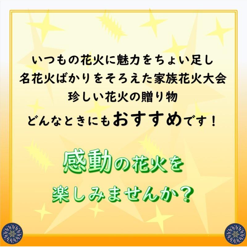 店主が感動した花火詰め合わせvol 3 満足 珍しい 手持ち花火 線香花火 Hnb133 はなびかん 通販 Yahoo ショッピング