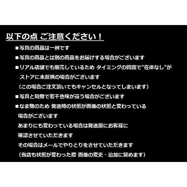 観葉植物 熱帯植物 モンステラ アダンソニー マドカズラ インテリア  素敵なプランツ 育てやすい観葉植物｜hanabisou｜08