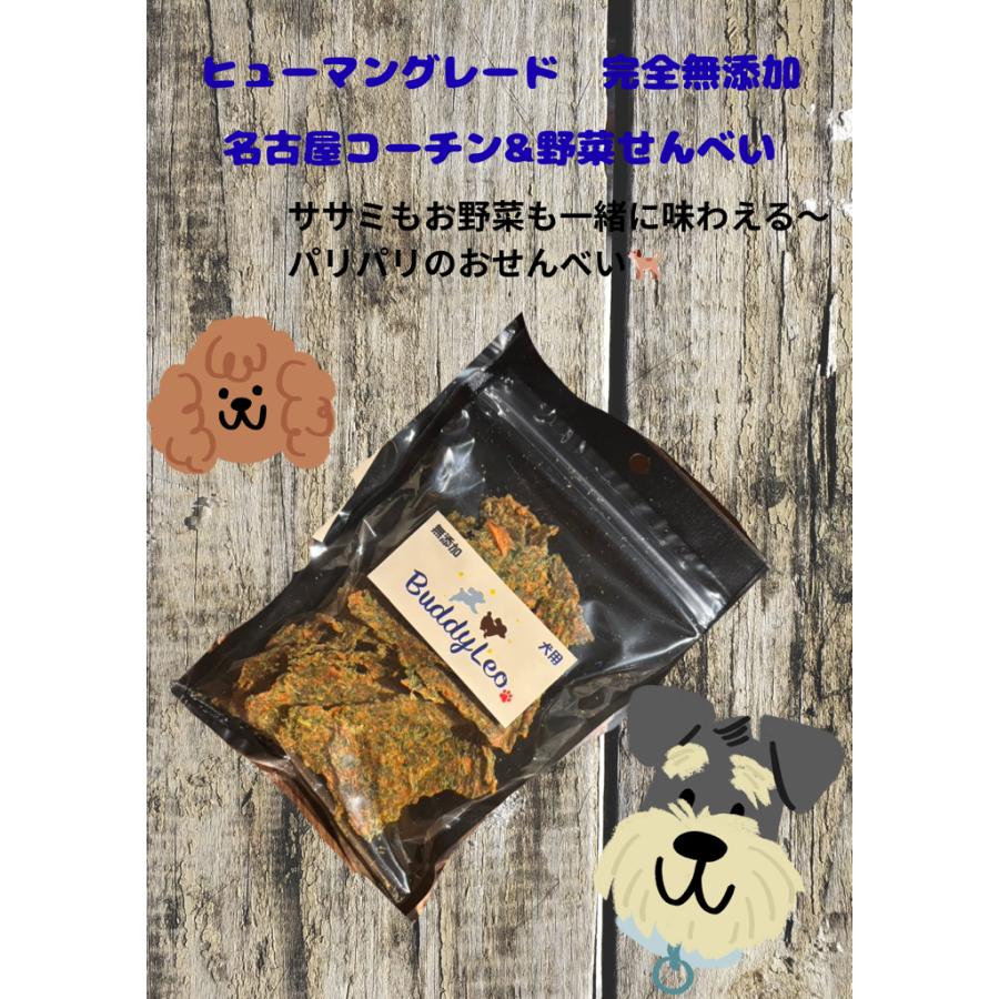 手作り 無添加 犬用 おやつ 名古屋コーチンささみ&野菜せんべい  約40g 送料無料 ギフト | 