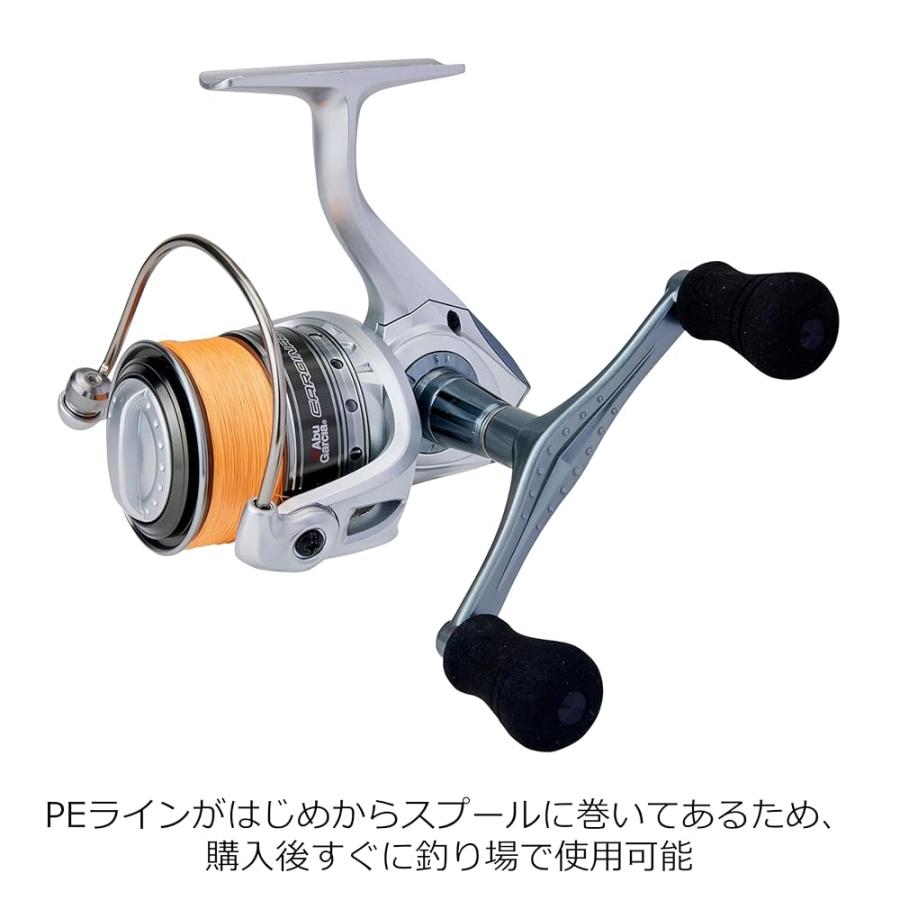 AbuGarcia (アブガルシア) CARDINAL カーディナル III SX2500SHD