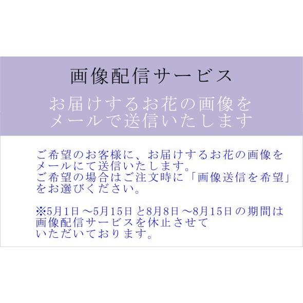 お供えアレンジL  お供え お悔やみ 花 法事 四十九日 法要 一周忌 命日 喪中見舞い お供え生花アレンジメント  生花 即日発送｜hanaclub｜08