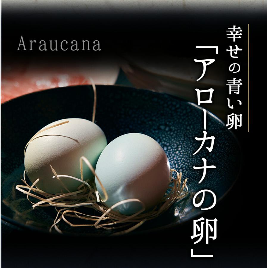 黒毛和牛 A5 霜降りもも すき焼きセット 450g 2〜3人前【化粧箱】冷蔵便 牛肉 すき焼きギフト すき焼き 野菜付き アローカナ卵 伊勢うどん 銀座塒 のし対応｜hanadaikon｜09