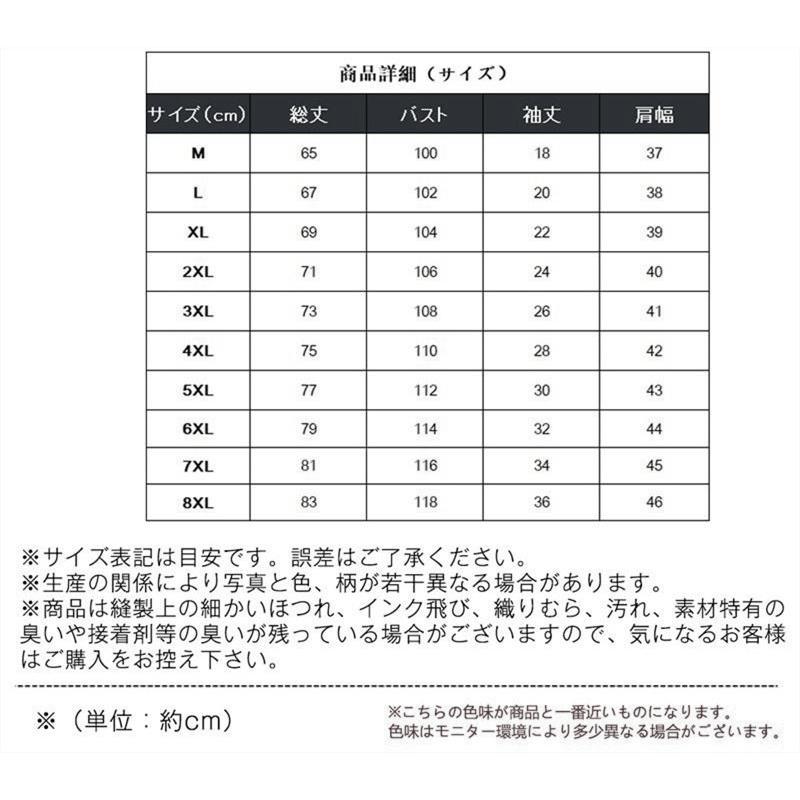 半額セール 冷感Tシャツ メンズ 速乾Tシャツ 半袖Tシャツ インナー クール 接触冷感 無地 スポーツ 運動 吸汗速乾 夏 ひんやり感 ストレッチ |  | 02