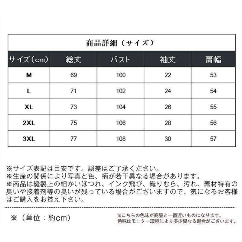 送料無料 夏新作 Tシャツ メンズ 半袖 おしゃれ カットソー 無地 アメカジ カジュアル tシャツ トップス 夏服 スポーツ 大きいサイズ |  | 02