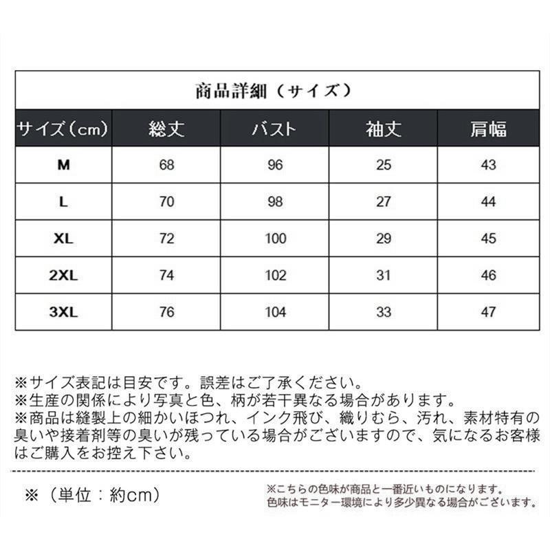 Tシャツ メンズ 半袖 夏服 カットソー カジュアル ゆったり おしゃれ 丸襟 快適 軽い 柔らかい カットソー スポーツ 運動会 体育祭 無地 |  | 02