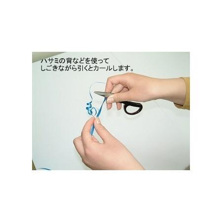カーリングリボン４ ８ｍｍクリンプ ０５シルバー 160 3011 5 サテンカーリングサテンリボン 001 はなどんやアソシエ 通販 Yahoo ショッピング