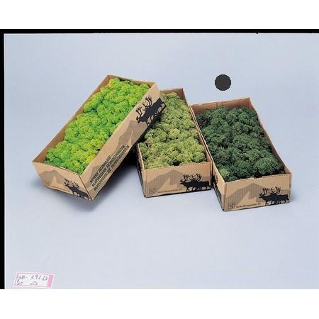 松村工芸 プリザーブド レインディアモス 箱入 モス 165-11-9