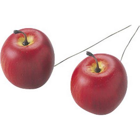 りんご出品 楽天市場】【ふるさと納税】富士りんご 秀 5kg fz18-135 リンゴ