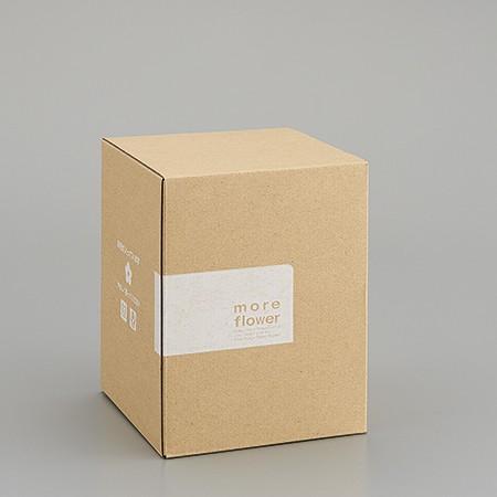 プリデリボックス 市場 Ｍ モアフラワー 162-1522-0 【期間限定】 ラッピング箱 10枚 梱包箱 宅配ボックス