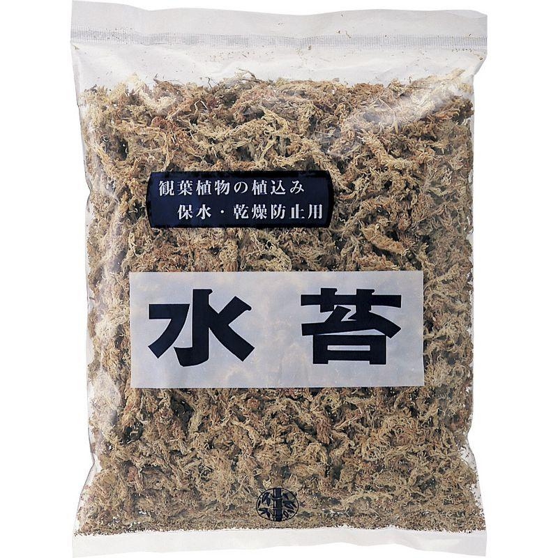 販売再開★継足品★10個セット◎ハイ苔5年物◎造園/苔玉★厚2〜3/長47幅32 販売再開☆継足品☆10個セット◎ハイ苔5年物