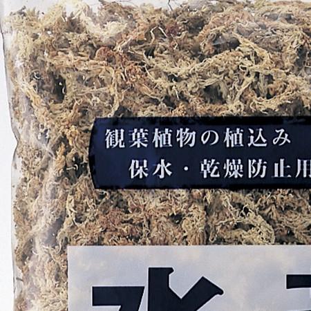 松村工芸 水苔 70グラム 165-1050-0 ガーデニング 園芸用品 園芸用土