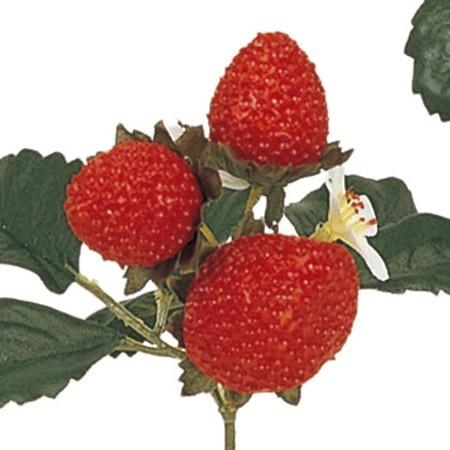 造花 MAGIQ東京堂 ストロベリーピック 3本 FM005939 造花実物