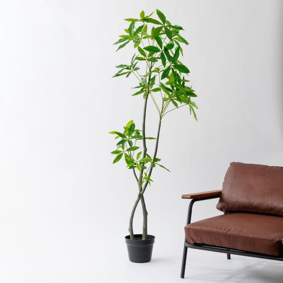 直送 人工観葉植物 MAGIQ東京堂 パキラ 6F GREEN FG012100※返品