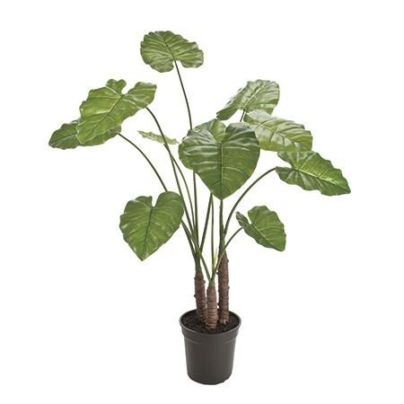 海外正規品 直送 人工観葉植物 東京堂 クワズイモ ｇｒｅｅｎ Fg 返品 キャンセル 人工観葉植物 高さ 100cm 正規店仕入れの Www Technet 21 Org