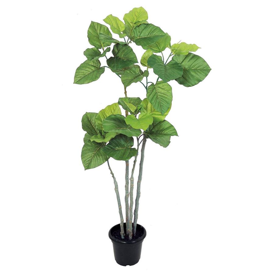 予約販売品 直送 人工観葉植物 Magiq 東京堂 ウンベラータ ４ｆ Fg 返品 人工観葉植物 高さ 150cm 新品 Technet 21 Org