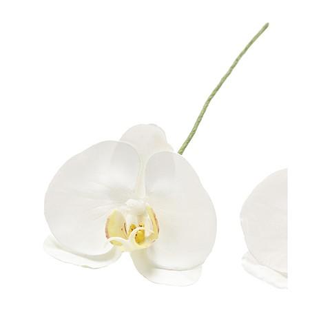 即日 造花 東京堂 アミュゼファレノ １ ｗｈｉｔｅ Fw 001 造花 花材 か行 コチョウラン 胡蝶蘭 002 132 はなどんやアソシエ 通販 Yahoo ショッピング