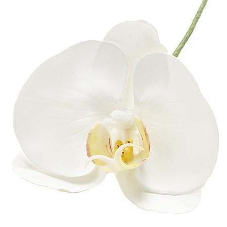 造花 東京堂 アミュゼファレノ ＃1 WHITE FW090184-001 花材「か