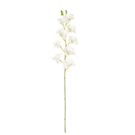 180円 最安値級価格 造花 Magiq 東京堂 ピュアデンドロビウム １ ｗｈ ｇｒ Fm 001 花材 か行 コチョウラン 胡蝶蘭