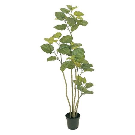 日限定12 直送 人工観葉植物 MAGIQ東京堂 光触媒 ウンベラータ ６Ｆ  ZV005227 ※返品代引キャンセル不可