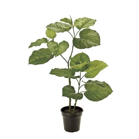人工観葉植物 Magiq 東京堂 ウンベラータ ｓ ｇｒｅｅｎ Fg 人工観葉植物 高さ 100cm 002 244 はなどんやアソシエ 通販 Yahoo ショッピング
