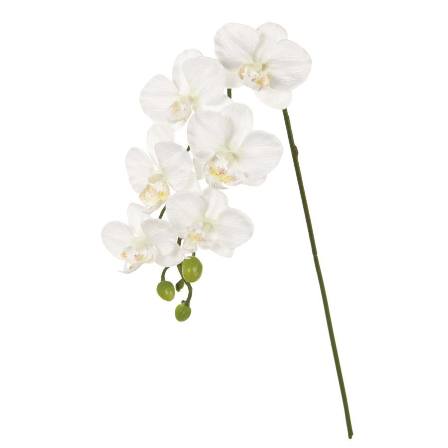 即日 造花 Magiq 東京堂 ファレノミリー １ ｗｈｉｔｅ Fm 001 造花 花材 か行 コチョウラン 胡蝶蘭 002 はなどんやアソシエ 通販 Yahoo ショッピング