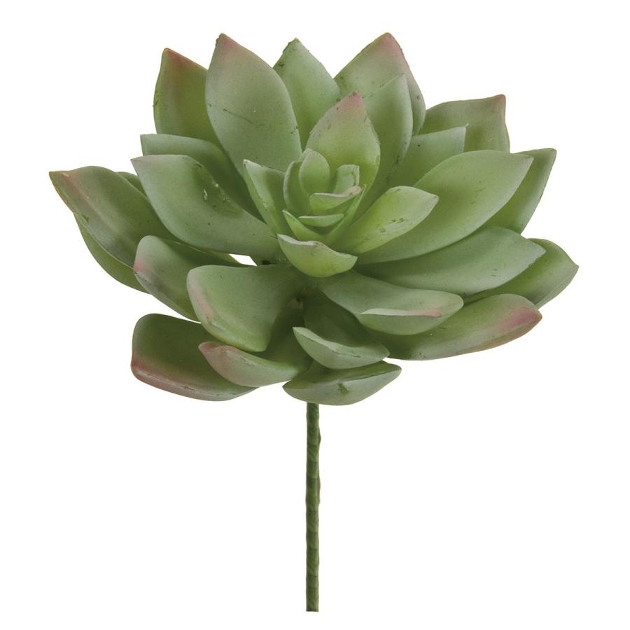 在庫限り 造花 Magiq 東京堂 エケベリア ローラ 22 Gr Pk Fg 022 造花葉物 フェイクグリーン 多肉植物