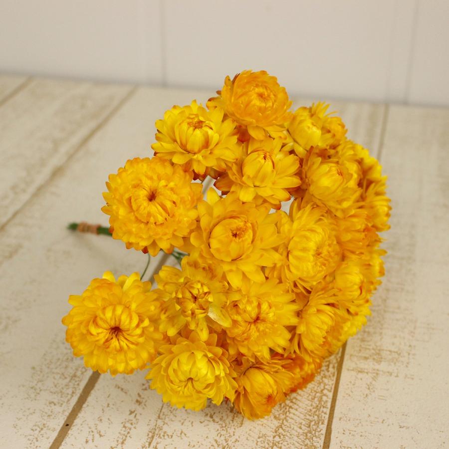 81・ヘリクリサムドライフラワー　貝細工　花材　リース　ハーバリウム ヘリクリサム （ピンク系） 貝細工 ドライフラワー ドライフラワー