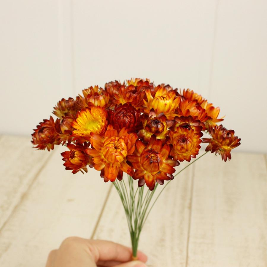 ドライ ヘリクリサムワイヤー付 オレンジ 25本 FD003021-009