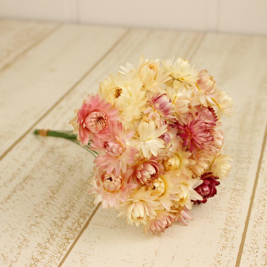 即日 ドライ ヘリクリサムワイヤー付 ソフトピンク 25本 Fd 046 ドライフラワー花材 ヘリクリサム 002 はなどんやアソシエ 通販 Yahoo ショッピング