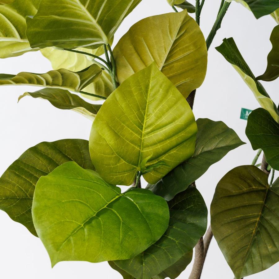 直送 人工観葉植物 MAGIQ東京堂 ウンベラータ ツイスト グリーン 5F