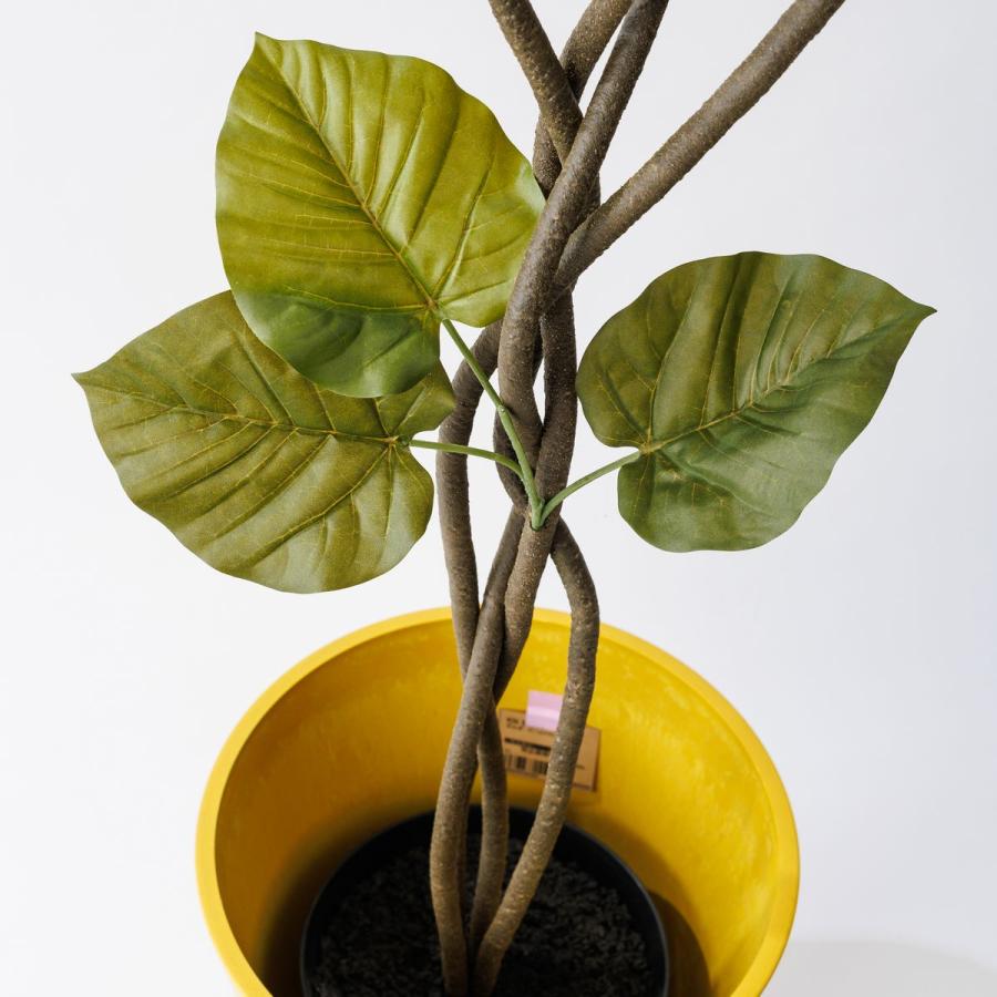 直送 人工観葉植物 MAGIQ東京堂 ウンベラータ ツイスト グリーン 5F