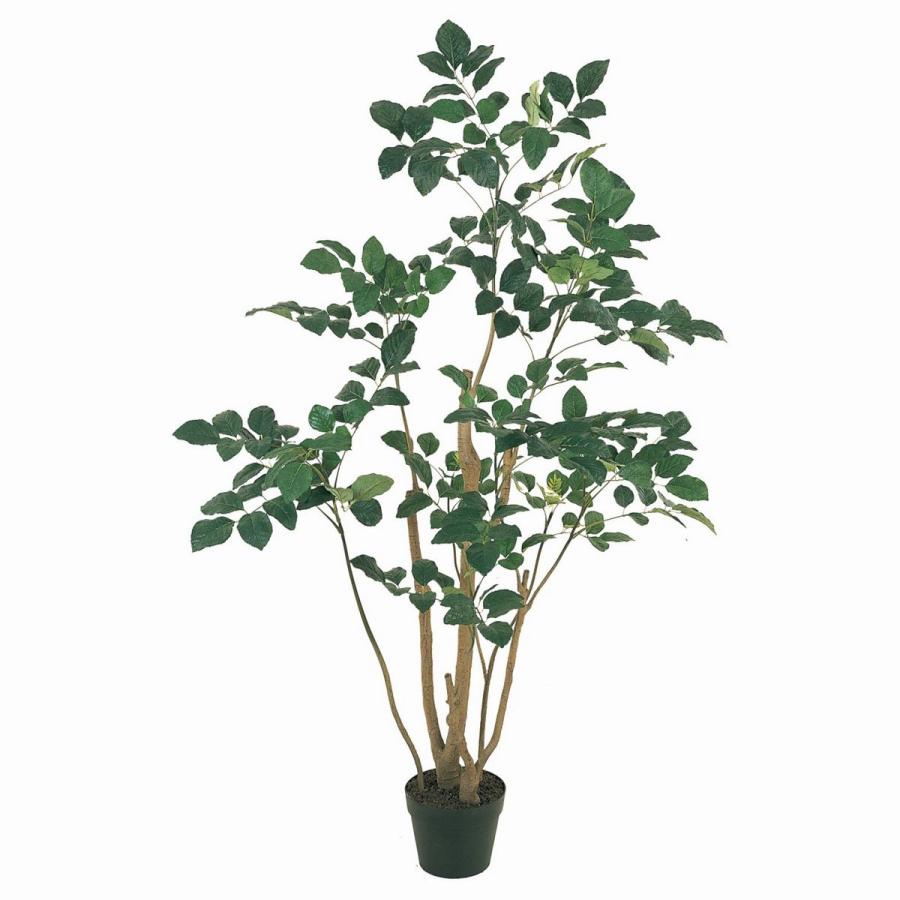 大流行中 直送 人工観葉植物 Magiq 東京堂 ポリシャスポット M グリーン Fg0810 返品 代引不可 人工観葉植物 高さ 150cm 002 はなどんやアソシエ 通販 Yahoo ショッピング Web限定 Www Iccostierovico Edu It