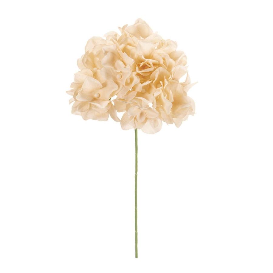 造花 MAGIQ 東京堂 アリスハイドレンジア #13 BEIGE FM025048-013 造花 花材「あ行」 あじさい 紫陽花 :002-40281:はなどんやアソシエ - 通販 - Yahoo!ショッピング 造花 MAGIQ 東京堂 アリスハイドレンジア #13 BEIGE FM025048-013 造花 花材「あ行」 あじさい 紫陽花 :002-40281:はなどんやアソシエ - 通販 - Yahoo!ショッピング