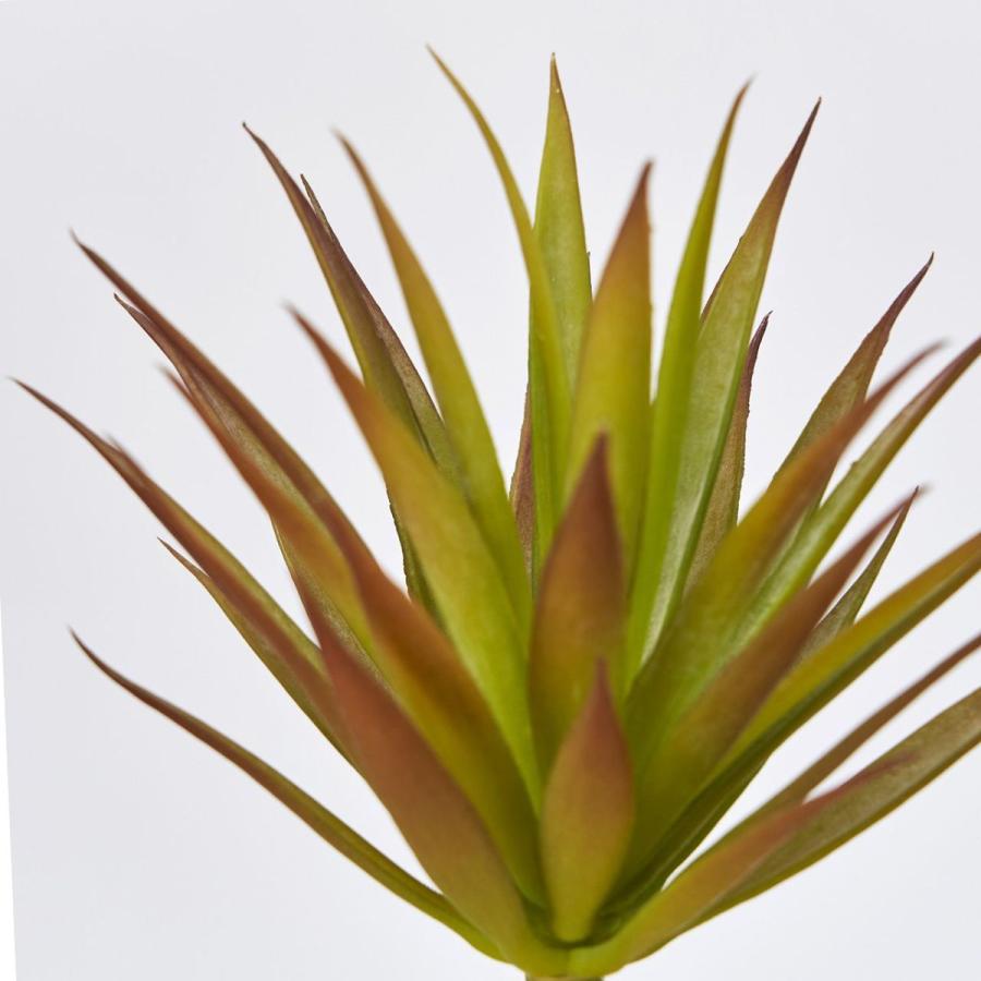アガベジュエル 観葉植物 フェイクグリーン 造花 MAGIQ東京堂 ReCO アガベジュエル #25 BUR GR FG300934-025 造花