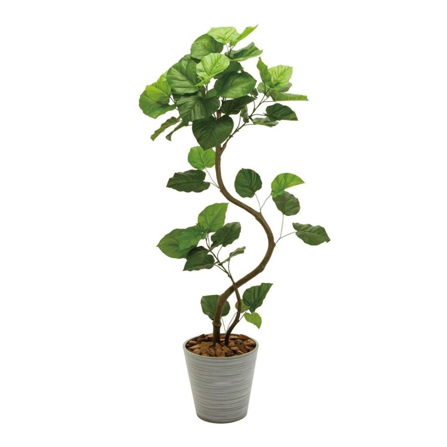 直送 人工観葉植物 MAGIQ東京堂 ウンベラータ スパイラル5Ｆ MG0F5229  ※返品 代引 キャンセル不可 造花葉物、フェイクグリーン 造花 人工観葉植物 卓上ポット