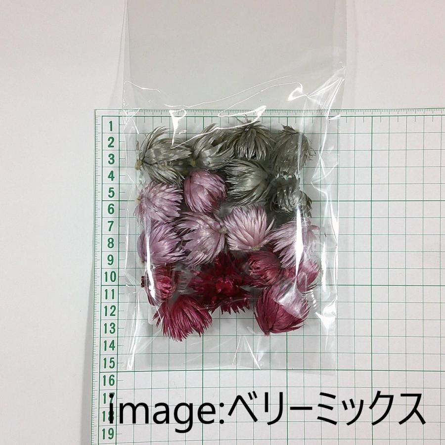 ドライ シルバーデージーヘッド大 小アソート ブルーミックス FD004951