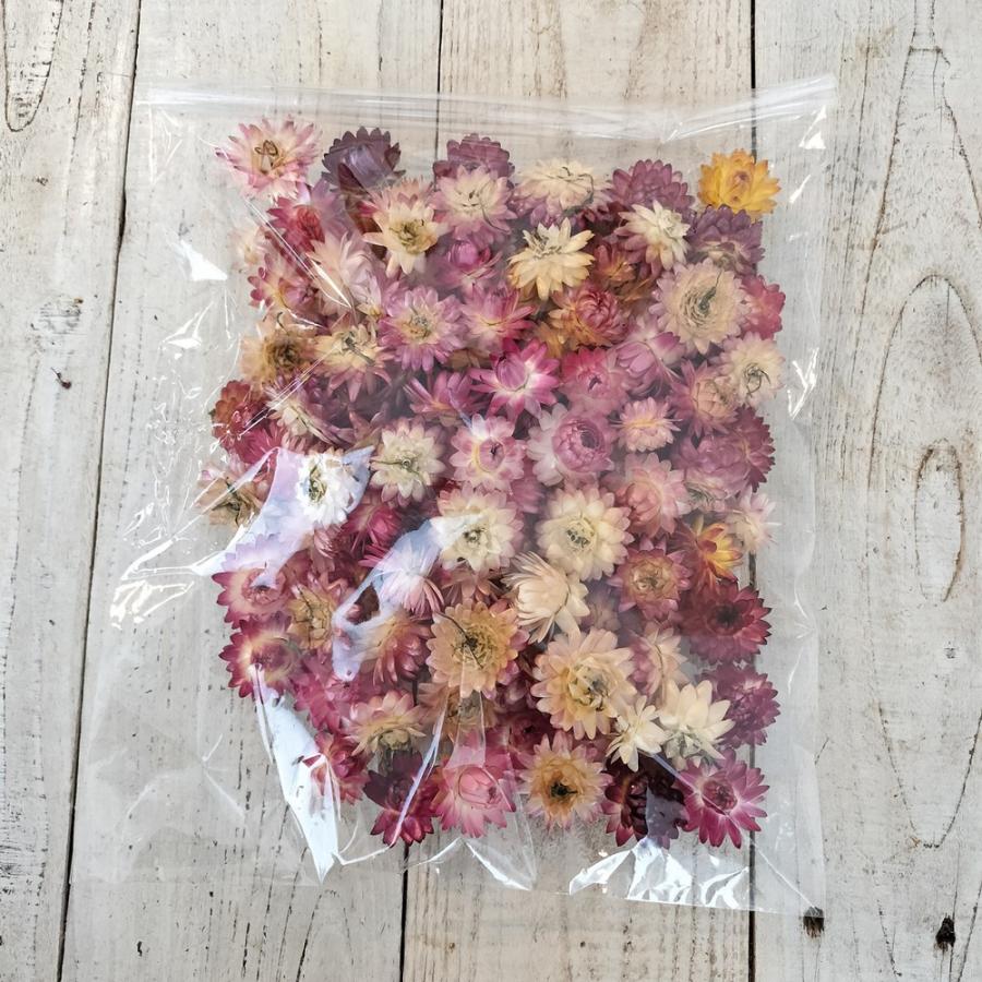 ドライ 東京堂 麦わら菊ヘッドミックス 岡山産 約30g FD001489 ドライ