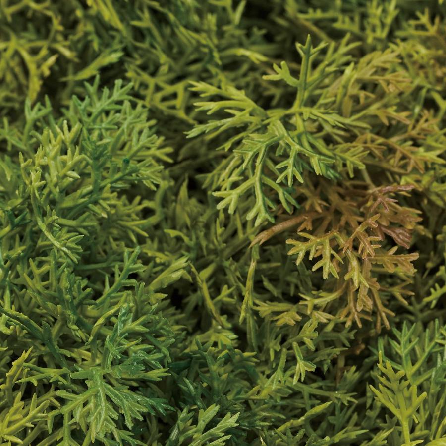 造花 MAGIQ東京堂 ソフトモスマット モスグリーン MS.GR FG008209 造花