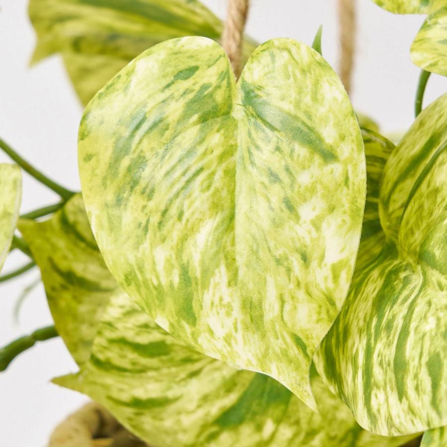 人工観葉植物 MAGIQ東京堂 マーブルポトスハンギング グリーン GREEN 