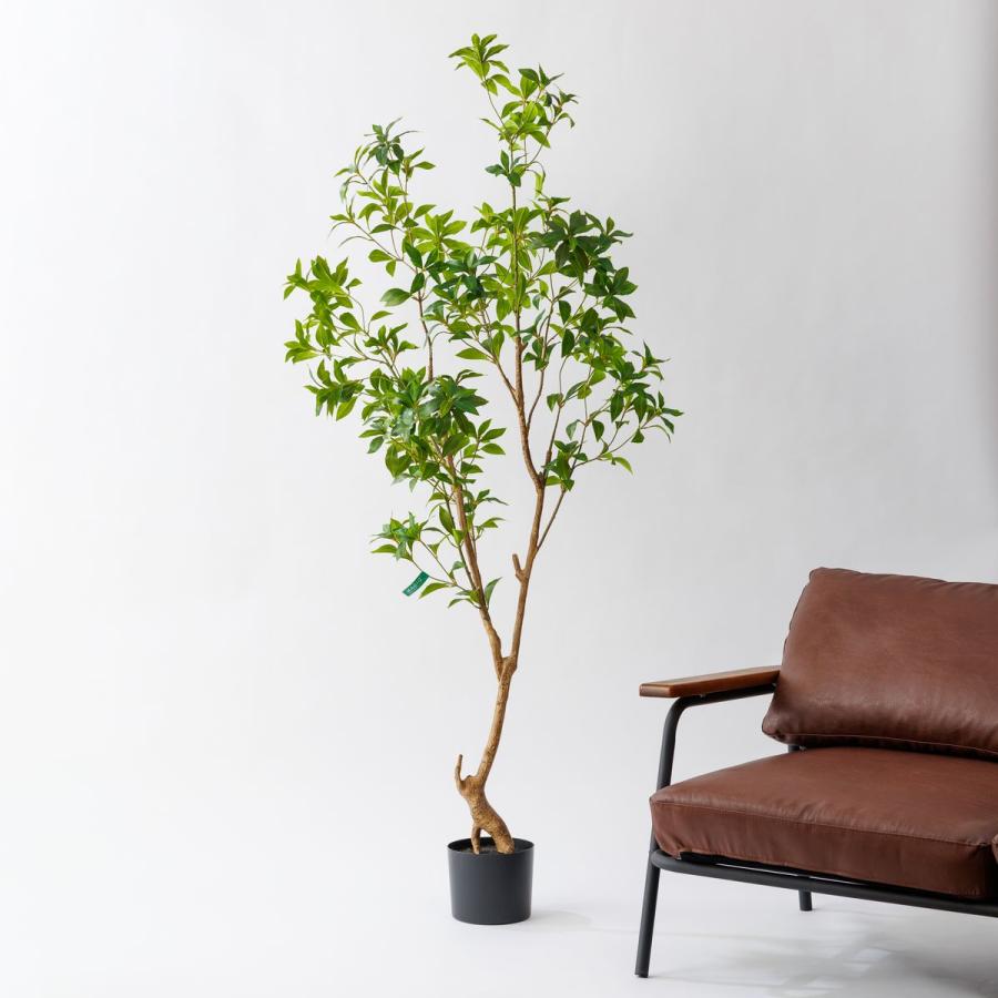 直送 人工観葉植物 MAGIQ東京堂 ☆AX☆シロダモポット グリーン