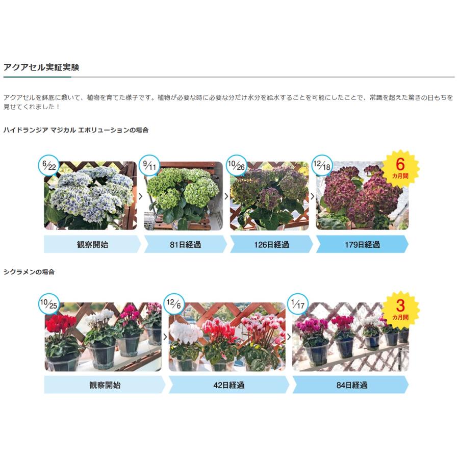 アクアセルキューブ5L GS0AQ005 ガーデニング 園芸用品 園芸用土 給水