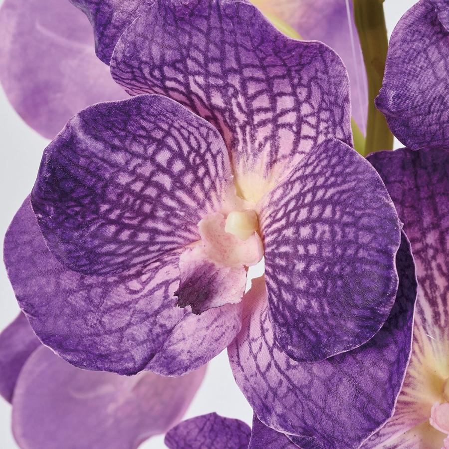 造花 MAGIQ東京堂 ワイルドバンダオーキッド PURPLE パープル FW020475