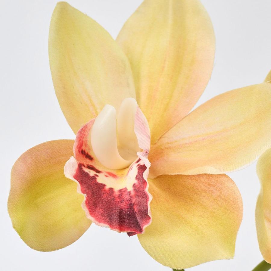 花 シンビジューム（造花、アートフラワー） | 花、ガーデニング の