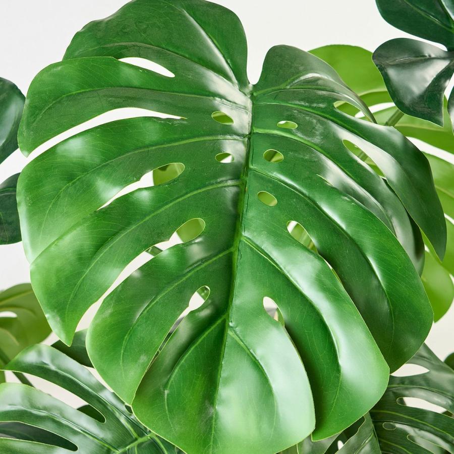 直送 人工観葉植物 東京堂 ☆AX☆モンステラジョイントポット グリーン