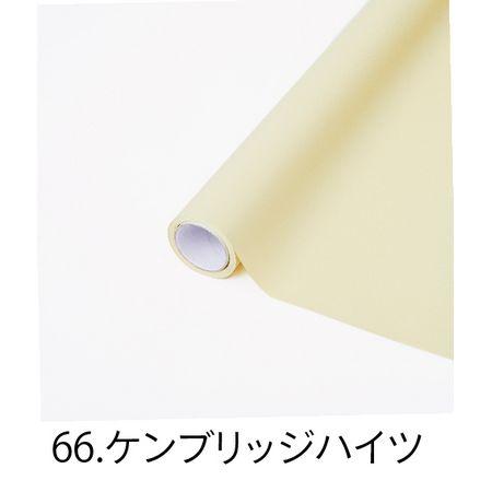 日限定07 HOSHINO モイスト NO．66 ケンブリッジハイツ 65x15