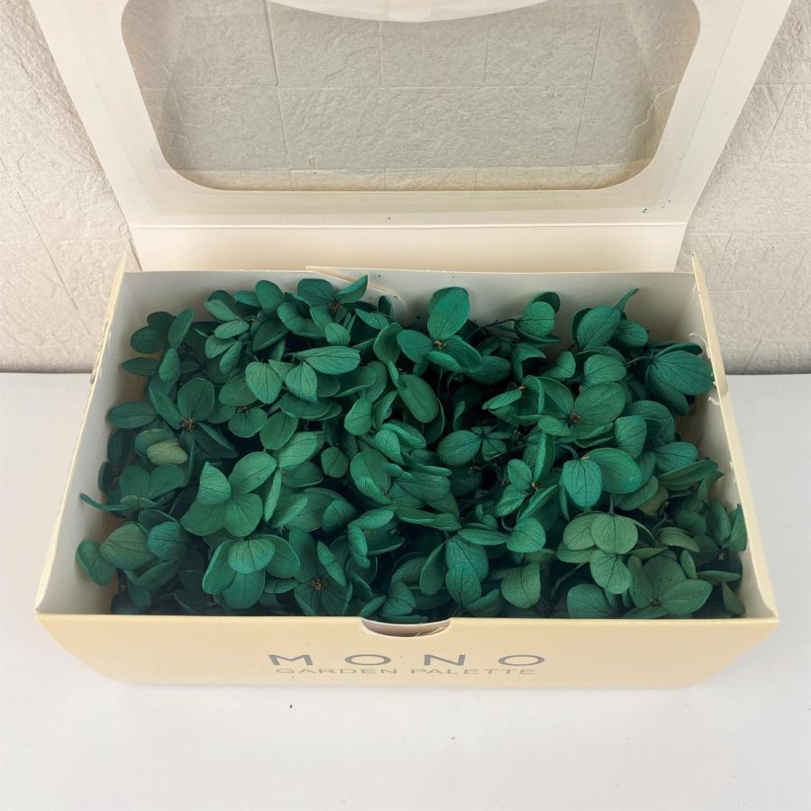 プリザーブド GARDEN PALETTE MONO ピラミッドアジサイ クローバー