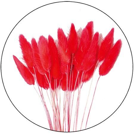 ドライ Garden Palette Mono ラグラス 約10g レッド Gpdra 03 ドライフラワー花材 人気大割引