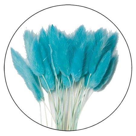 独特な ドライ Garden Palette Mono ラグラス 約10g シアン Gpdra 04 ドライフラワー花材