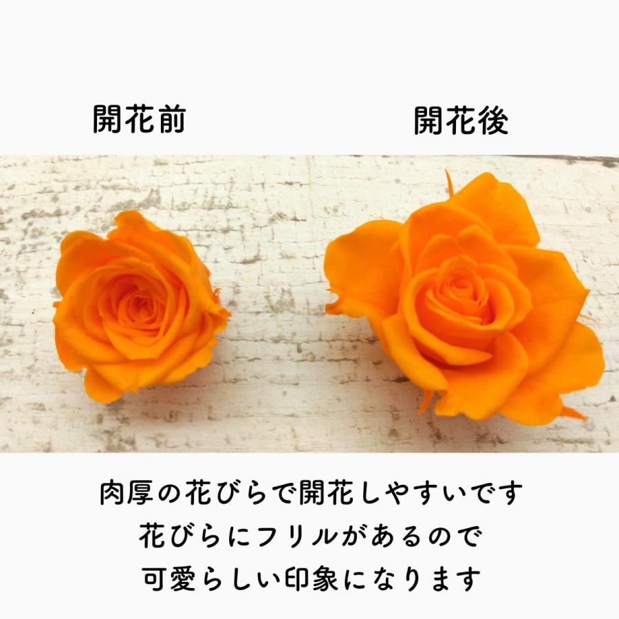 プリザーブド GARDEN PALETTE MONO ミアローズ 8輪 シャンパンピンク